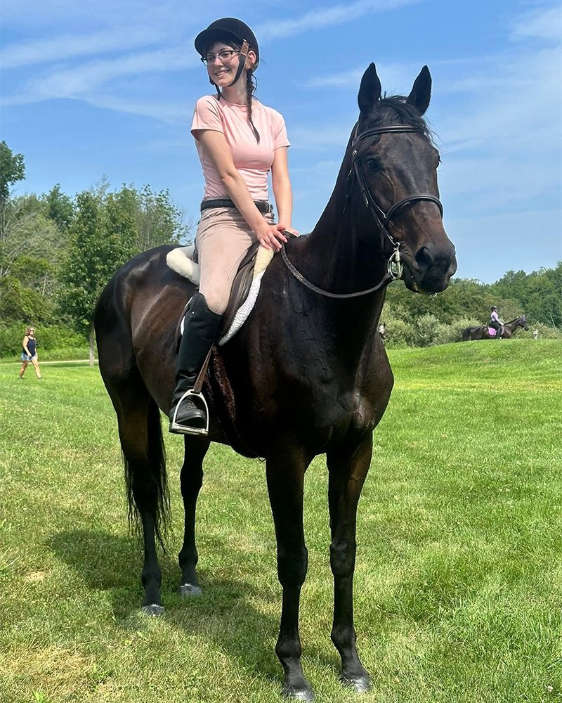 A good photo: the horse is close, in daylight, and its face is easy to see.