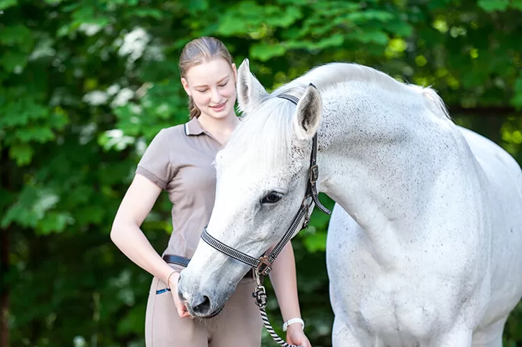 what-does-a-horse-trainer-do