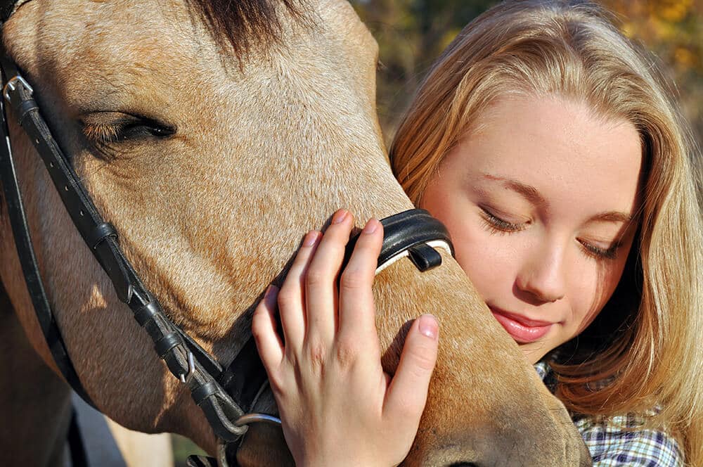 Biggest Horse Breeds - Helpful Horse Hints