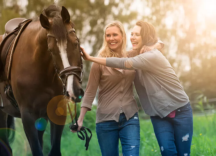 christmas horse picture ideas