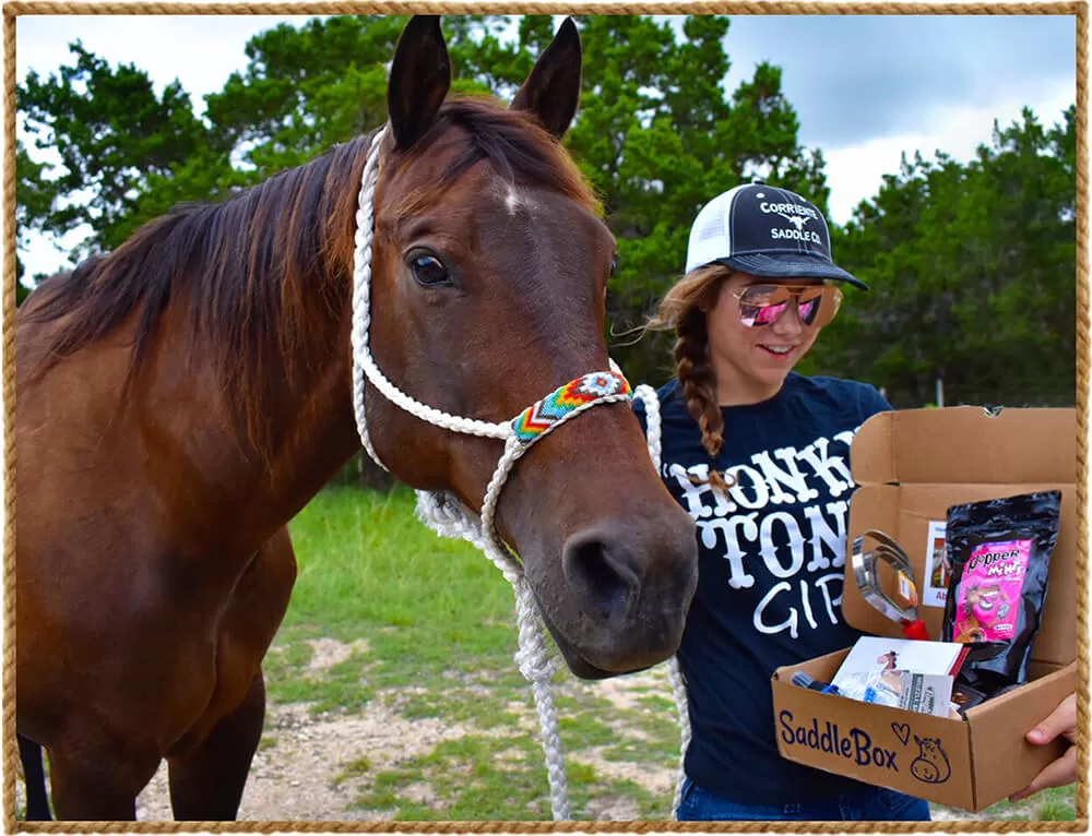 SaddleBox Horse Owner Gift Box | SaddleBox