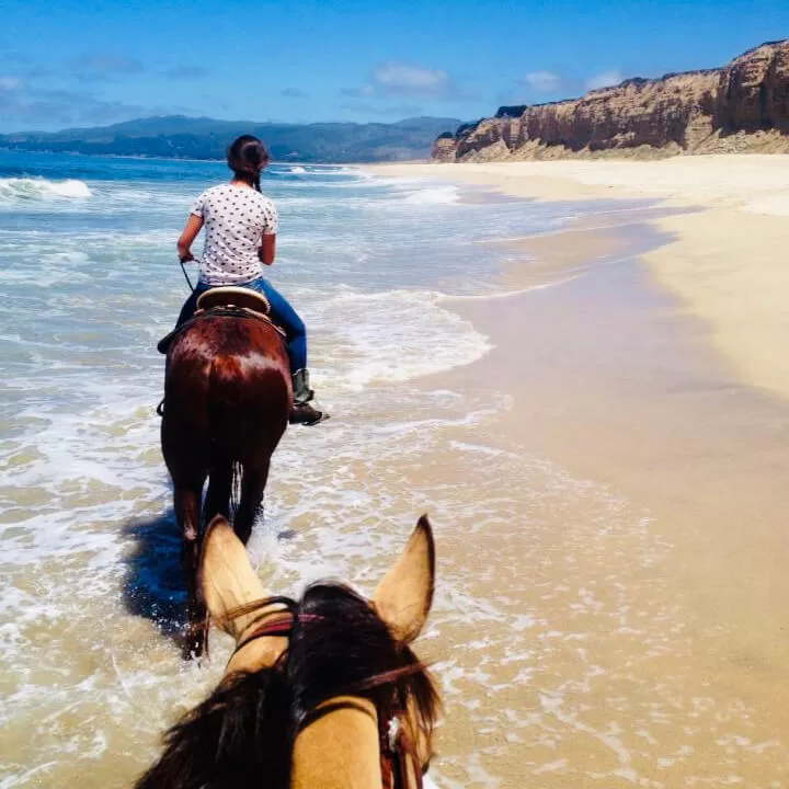 horseback-riding-on-beach | SaddleBox