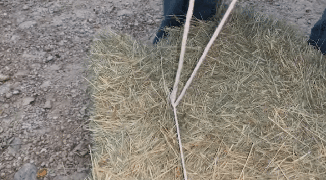 Here S A Cool Trick For Opening Hay Bales For Horses